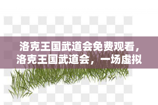 洛克王国武道会免费观看，洛克王国武道会，一场虚拟世界的荣耀之战