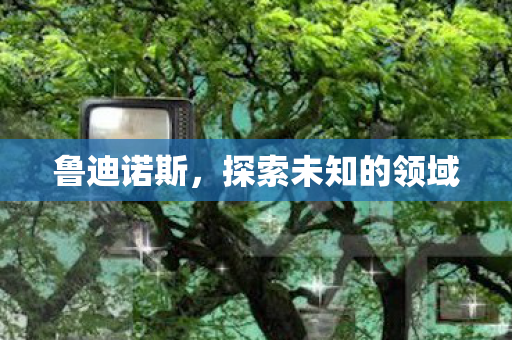 鲁迪诺斯，探索未知的领域