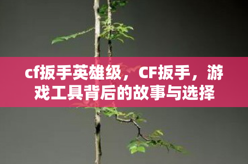 cf扳手英雄级，CF扳手，游戏工具背后的故事与选择