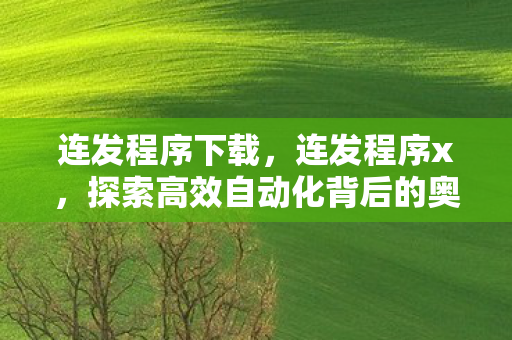 连发程序下载，连发程序x，探索高效自动化背后的奥秘