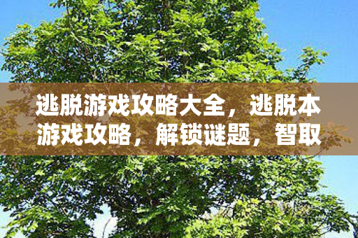 逃脱游戏攻略大全，逃脱本游戏攻略，解锁谜题，智取胜利