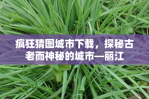 疯狂猜图城市下载，探秘古老而神秘的城市—丽江