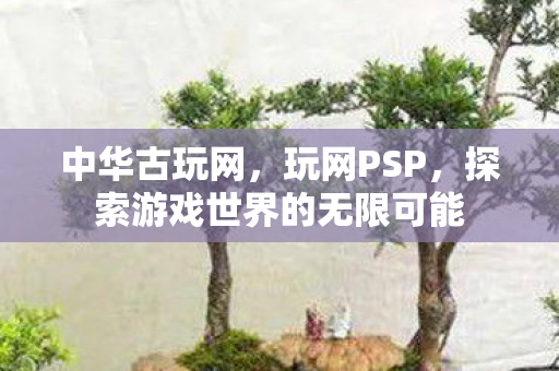 中华古玩网，玩网PSP，探索游戏世界的无限可能
