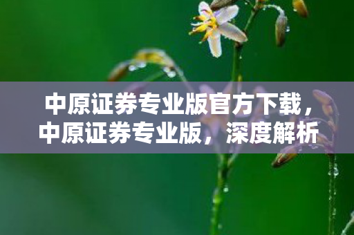 中原证券专业版官方下载，中原证券专业版，深度解析其优势与功能