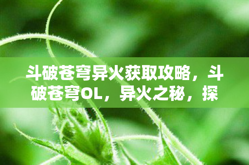 斗破苍穹异火获取攻略，斗破苍穹OL，异火之秘，探索无尽火域