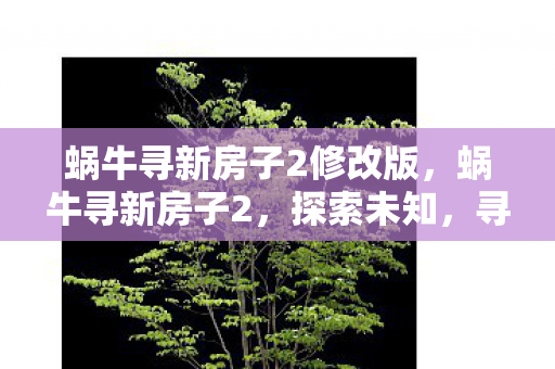 蜗牛寻新房子2修改版，蜗牛寻新房子2，探索未知，寻找理想居所