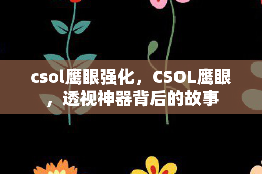 csol鹰眼强化，CSOL鹰眼，透视神器背后的故事