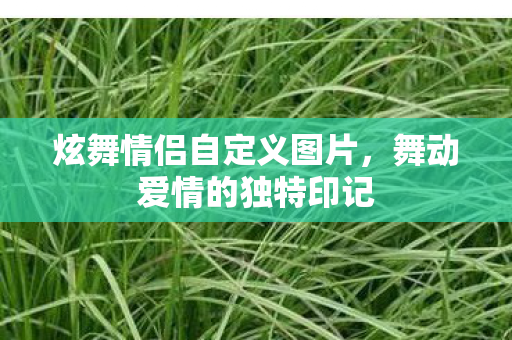 炫舞情侣自定义图片,舞动爱情的独特印记 炫舞情侣自定义图片,舞动爱情的独特印记