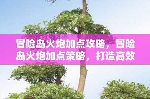冒险岛火炮加点攻略，冒险岛火炮加点策略，打造高效战斗输出