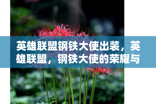 英雄联盟钢铁大使出装，英雄联盟，钢铁大使的荣耀与责任