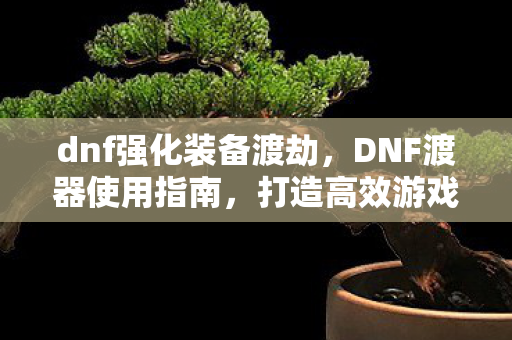 dnf强化装备渡劫，DNF渡器使用指南，打造高效游戏环境