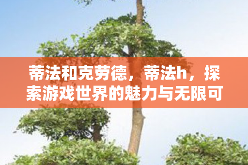 蒂法和克劳德，蒂法h，探索游戏世界的魅力与无限可能