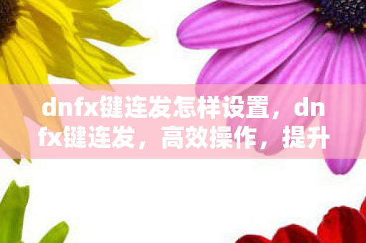 dnfx键连发怎样设置，dnfx键连发，高效操作，提升游戏体验