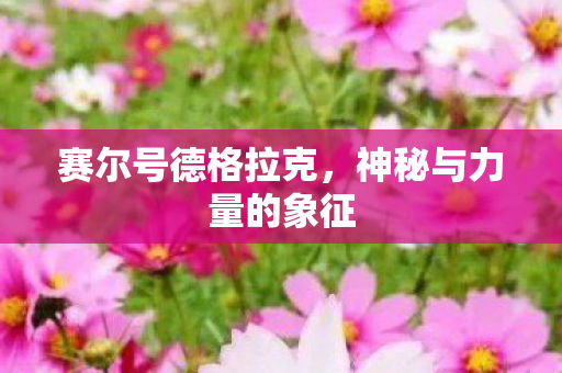 赛尔号德格拉克，神秘与力量的象征