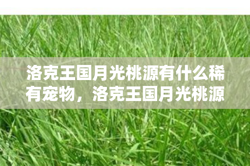 洛克王国月光桃源有什么稀有宠物，洛克王国月光桃源，神秘仙境的探寻之旅