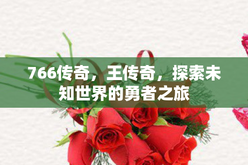 766传奇，王传奇，探索未知世界的勇者之旅