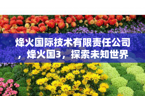 烽火国际技术有限责任公司，烽火国3，探索未知世界的奇幻之旅