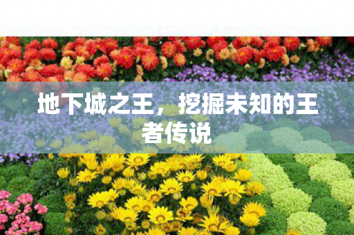 地下城之王,挖掘未知的王者传说 地下城之王,挖掘未知的王者传说