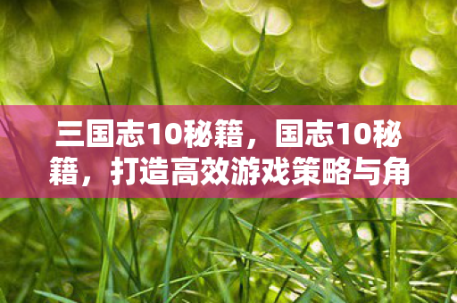 三国志10秘籍，国志10秘籍，打造高效游戏策略与角色发展指南