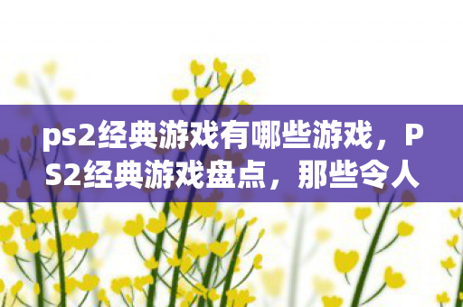 ps2经典游戏有哪些游戏，PS2经典游戏盘点，那些令人难忘的三个字以上佳作