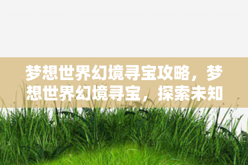 梦想世界幻境寻宝攻略，梦想世界幻境寻宝，探索未知世界的奇幻之旅