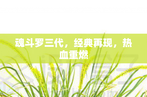 魂斗罗三代,经典再现,热血重燃 魂斗罗三代,经典再现,热血重燃