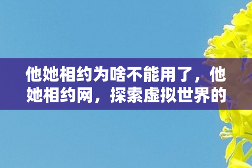 他她相约为啥不能用了，他她相约网，探索虚拟世界的浪漫邂逅