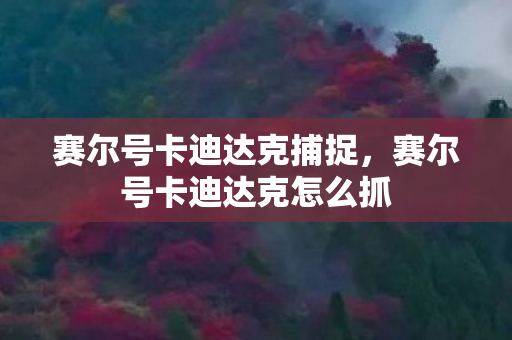 赛尔号卡迪达克捕捉，赛尔号卡迪达克怎么抓