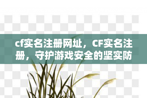 cf实名注册网址，CF实名注册，守护游戏安全的坚实防线