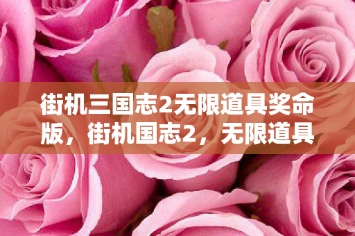 街机三国志2无限道具奖命版，街机国志2，无限道具奖命版，探索经典游戏的全新可能