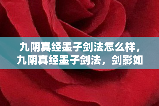 九阴真经墨子剑法怎么样，九阴真经墨子剑法，剑影如墨，独步江湖