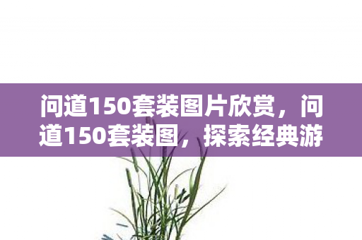 问道150套装图片欣赏，问道150套装图，探索经典游戏的华丽升级