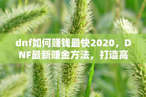 dnf如何赚钱最快2020，DNF最新赚金方法，打造高效搬砖策略，轻松赚取游戏币