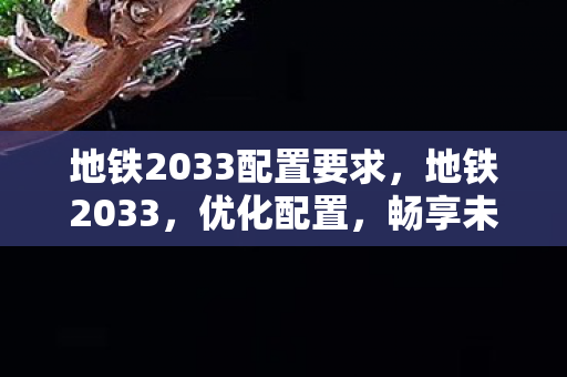 地铁2033配置要求，地铁2033，优化配置，畅享未来科幻世界
