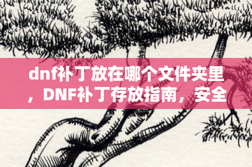 dnf补丁放在哪个文件夹里，DNF补丁存放指南，安全、合规的存放位置推荐