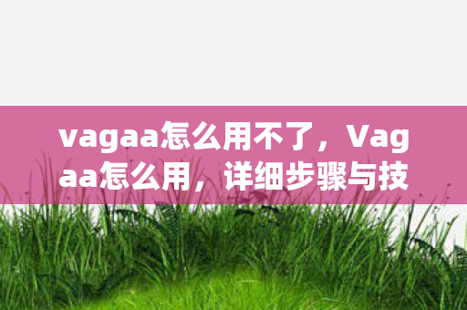 vagaa怎么用不了，Vagaa怎么用，详细步骤与技巧