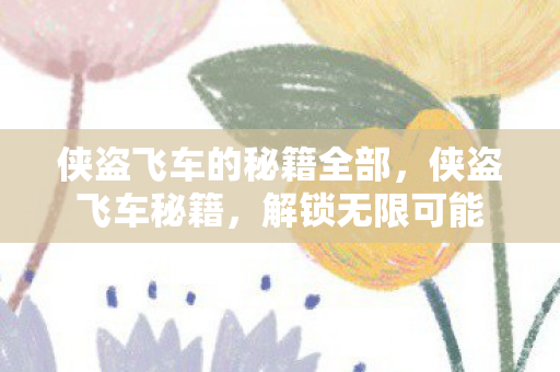 侠盗飞车的秘籍全部，侠盗飞车秘籍，解锁无限可能