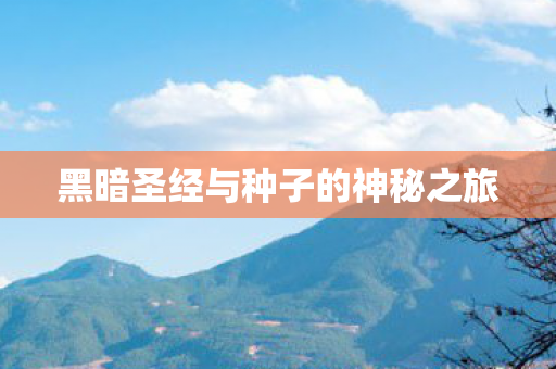 黑暗圣经与种子的神秘之旅