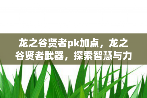 龙之谷贤者pk加点，龙之谷贤者武器，探索智慧与力量的完美结合
