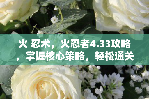 火 忍术，火忍者4.33攻略，掌握核心策略，轻松通关