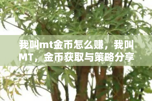 我叫mt金币怎么赚，我叫MT，金币获取与策略分享