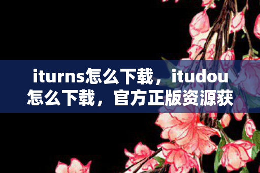 iturns怎么下载，itudou怎么下载，官方正版资源获取指南
