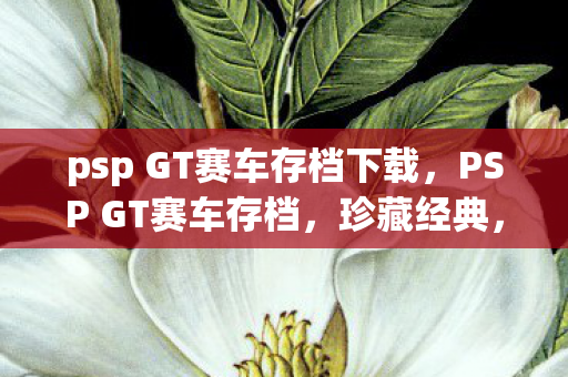 psp GT赛车存档下载，PSP GT赛车存档，珍藏经典，重温速度与激情