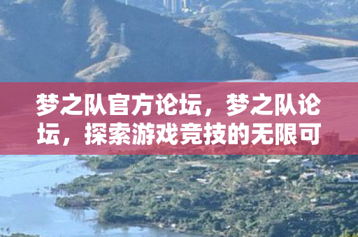 梦之队官方论坛，梦之队论坛，探索游戏竞技的无限可能
