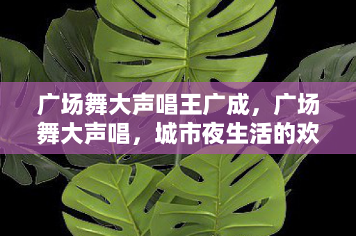 广场舞大声唱王广成，广场舞大声唱，城市夜生活的欢乐旋律