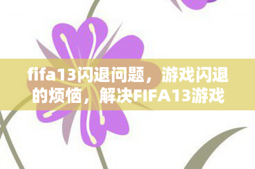 fifa13闪退问题，游戏闪退的烦恼，解决FIFA13游戏闪退的实用方法