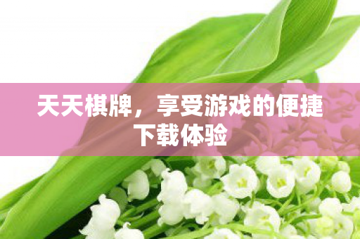 天天棋牌,享受游戏的便捷下载体验 天天棋牌,享受游戏的便捷下载体验
