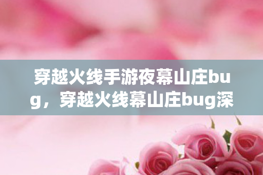 穿越火线手游夜幕山庄bug，穿越火线幕山庄bug深度解析，游戏乐趣与平衡的挑战