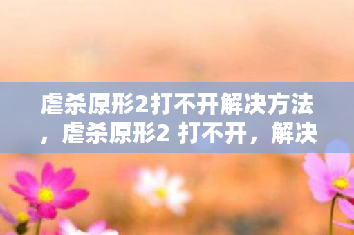 虐杀原形2打不开解决方法，虐杀原形2 打不开，解决游戏启动问题的全面指南
