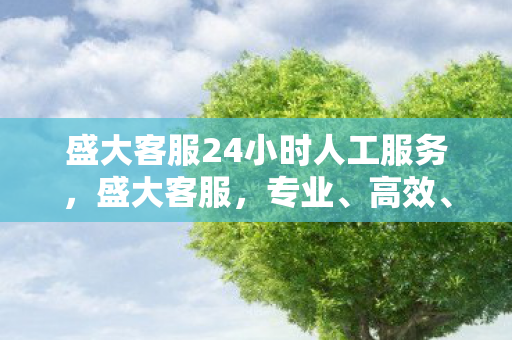 盛大客服24小时人工服务，盛大客服，专业、高效、贴心的服务体验